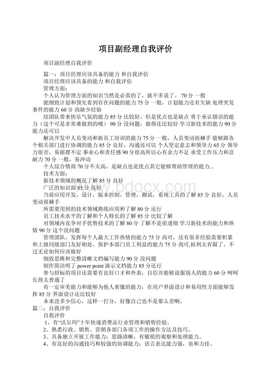 项目副经理自我评价Word格式文档下载.docx_第1页