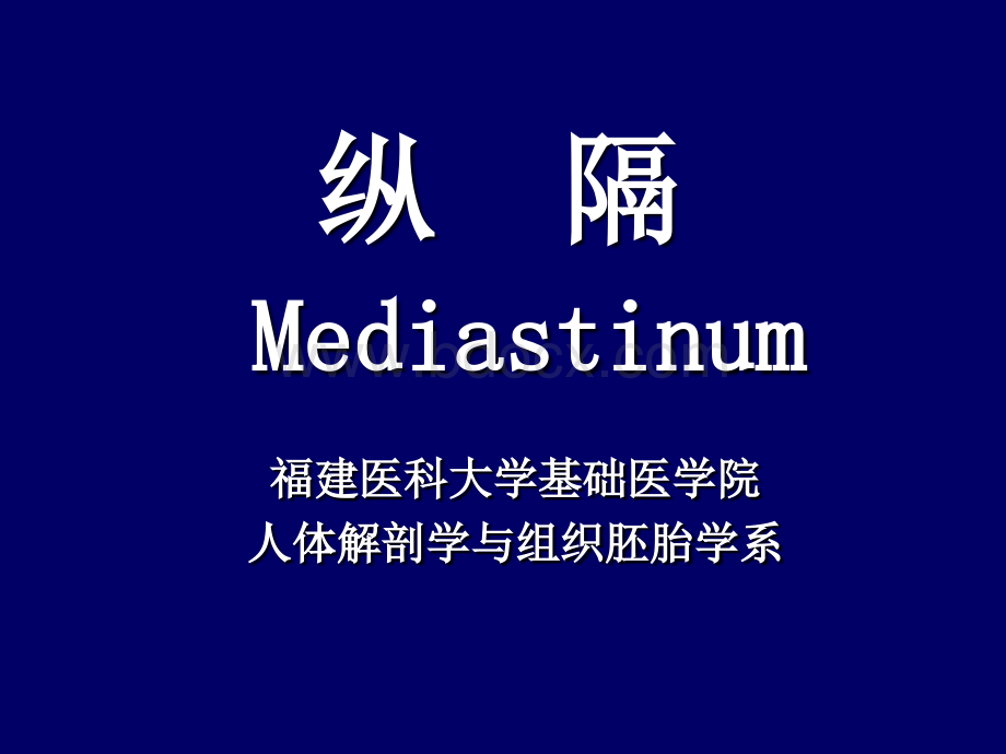 麻醉解剖学-纵隔_精品文档.ppt_第1页