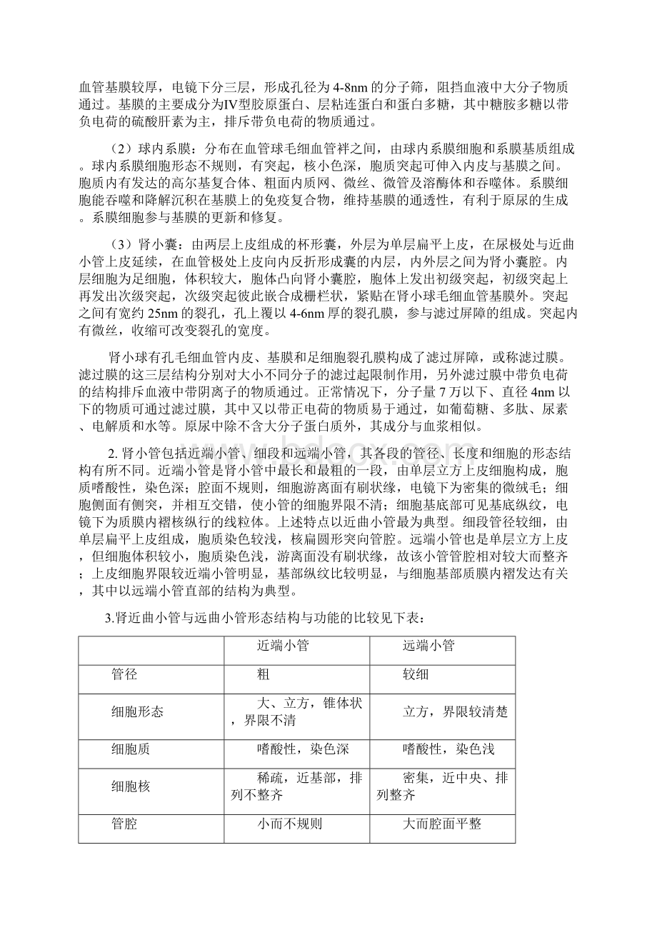 重庆医科大学 系统解剖学简答.docx_第2页