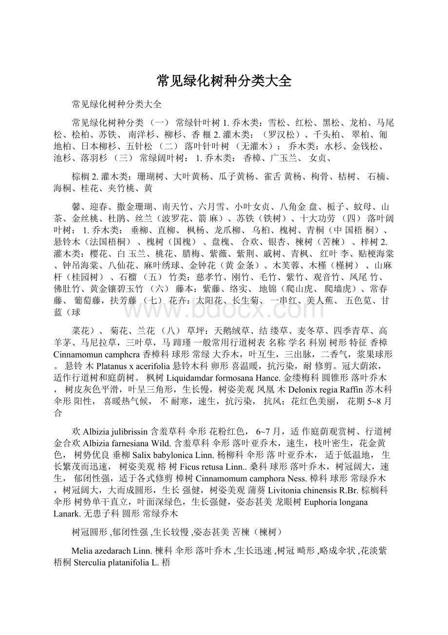 常见绿化树种分类大全Word文件下载.docx_第1页