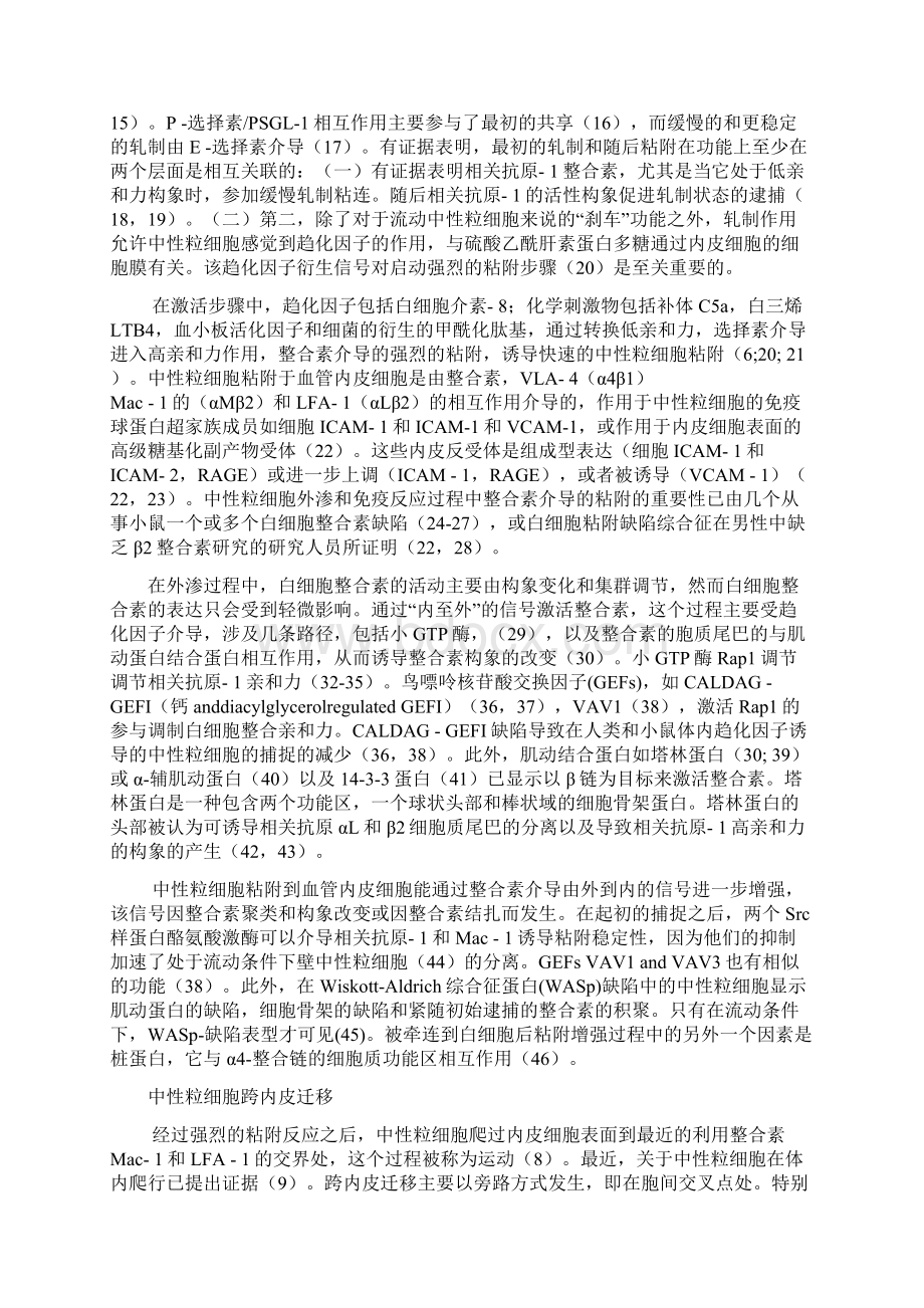 中性粒细胞跨内皮迁移机制.docx_第2页