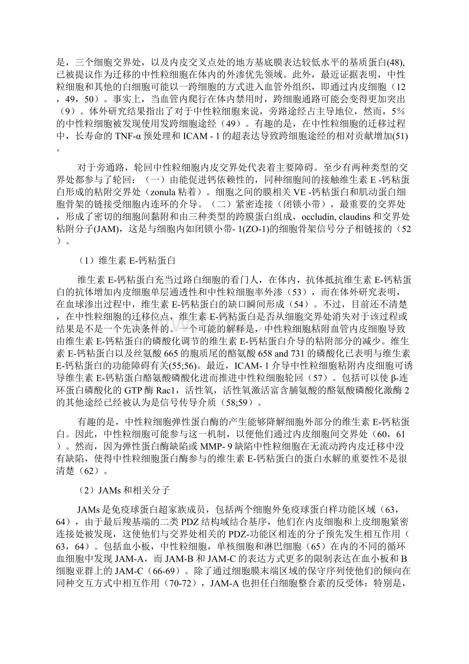 中性粒细胞跨内皮迁移机制.docx_第3页