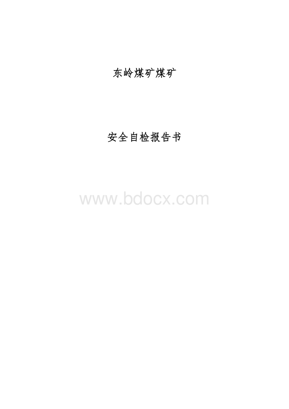 东岭煤矿体检报告书.docx