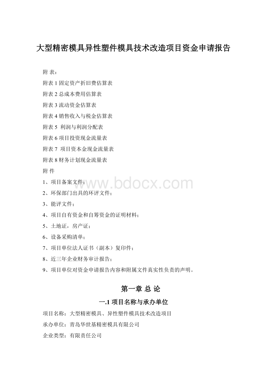 大型精密模具异性塑件模具技术改造项目资金申请报告.docx_第1页