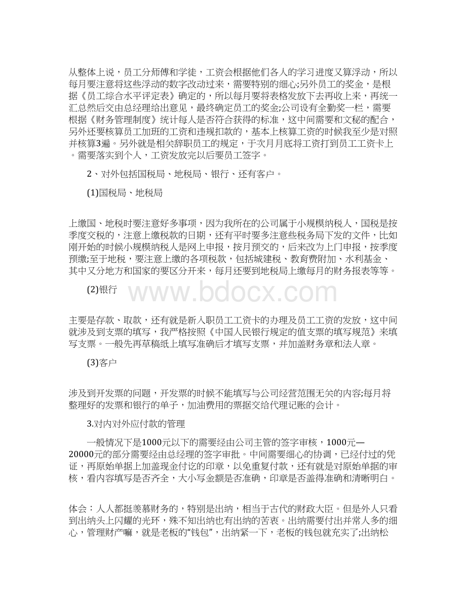 出纳实习总结范文3篇.docx_第2页