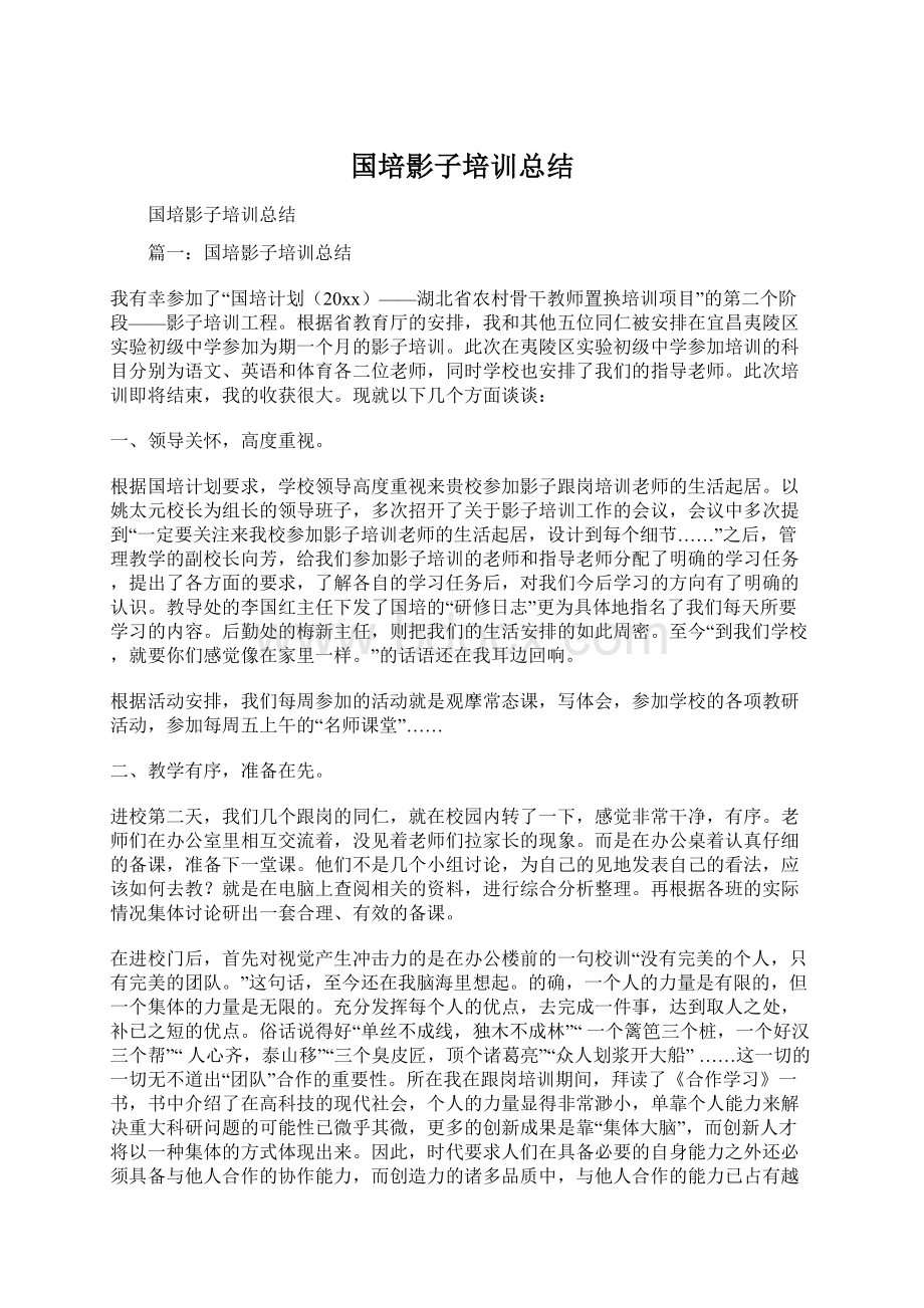 国培影子培训总结Word格式.docx_第1页