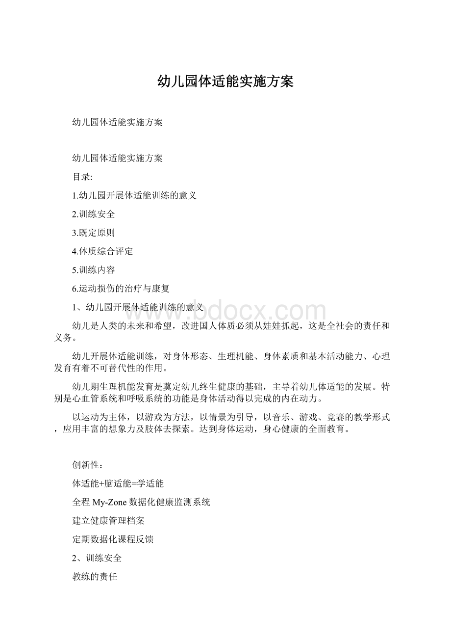 幼儿园体适能实施方案文档格式.docx