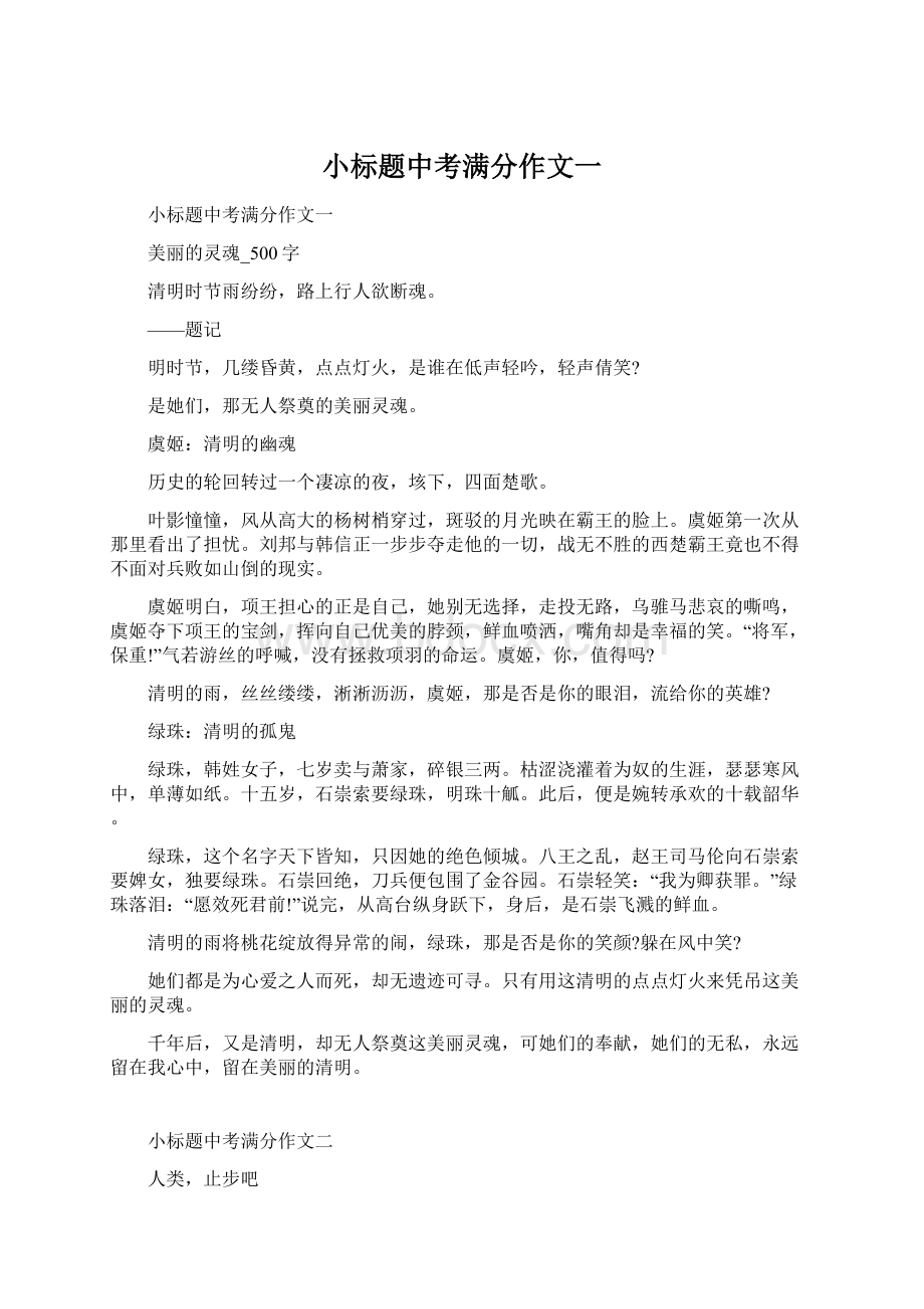 小标题中考满分作文一Word格式文档下载.docx_第1页