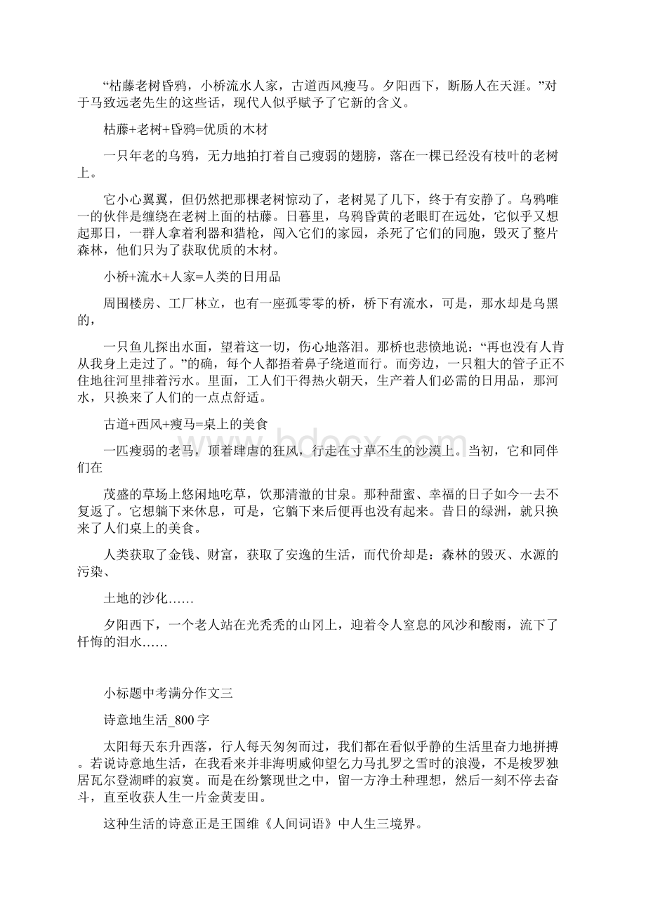 小标题中考满分作文一.docx_第2页