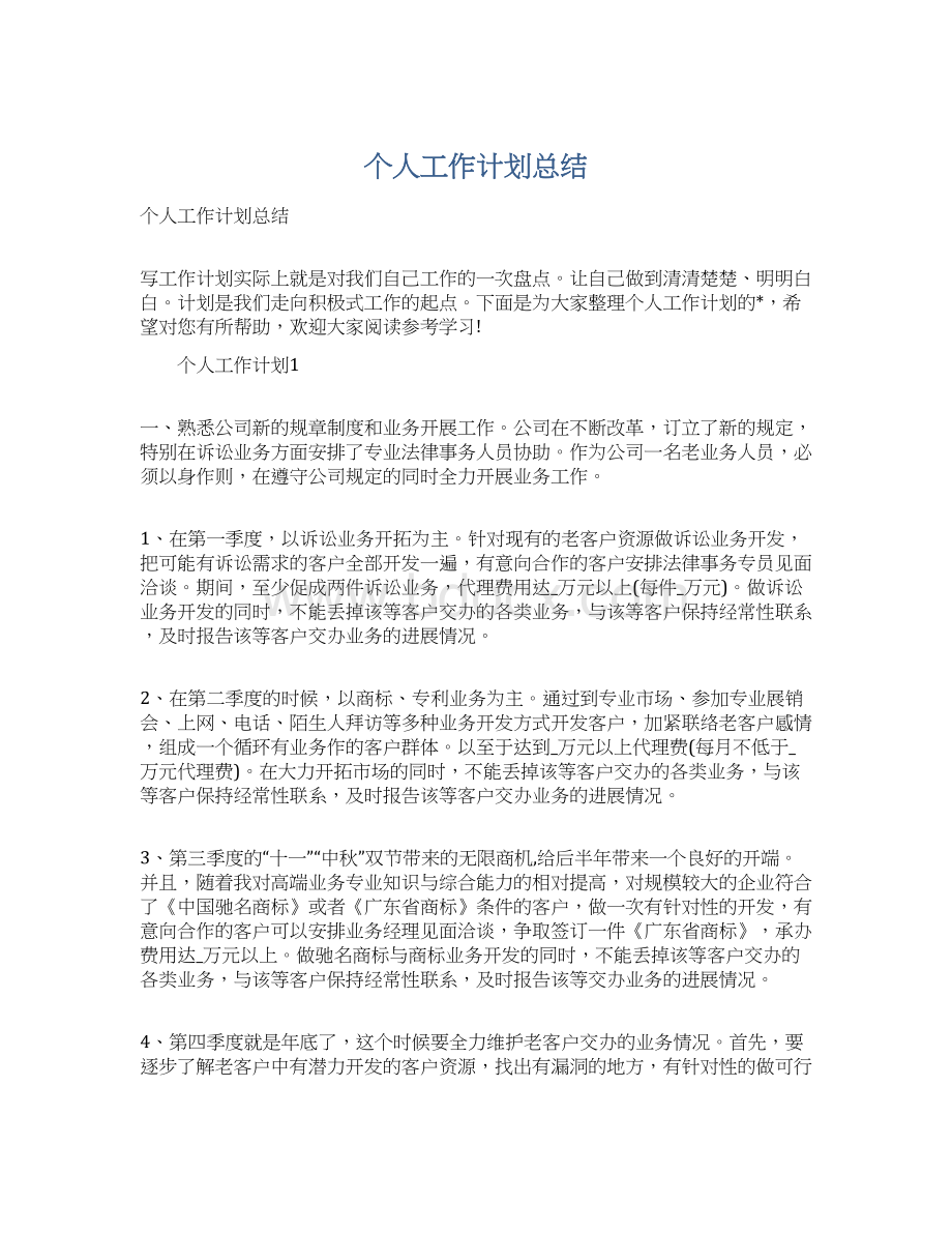 个人工作计划总结文档格式.docx