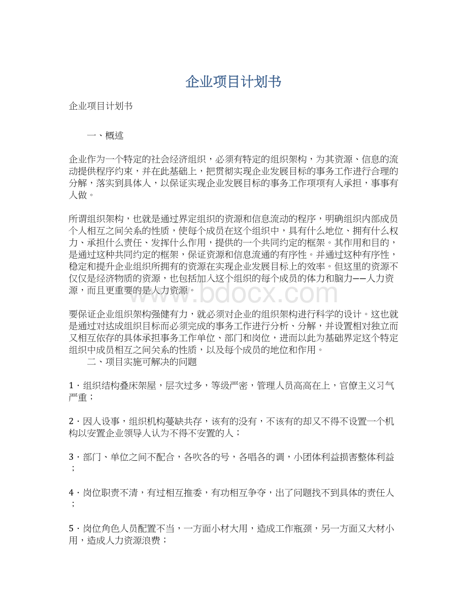 企业项目计划书.docx_第1页