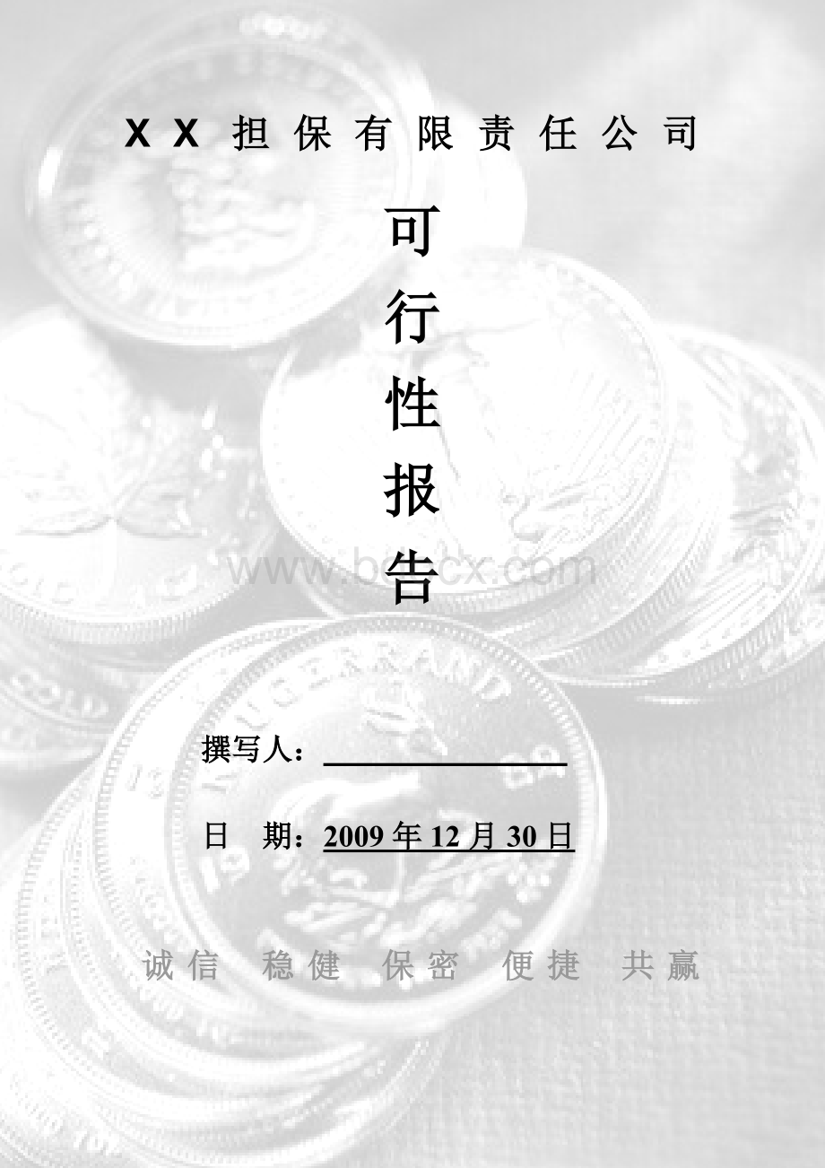 XX担保有限责任公司可行性报告.doc