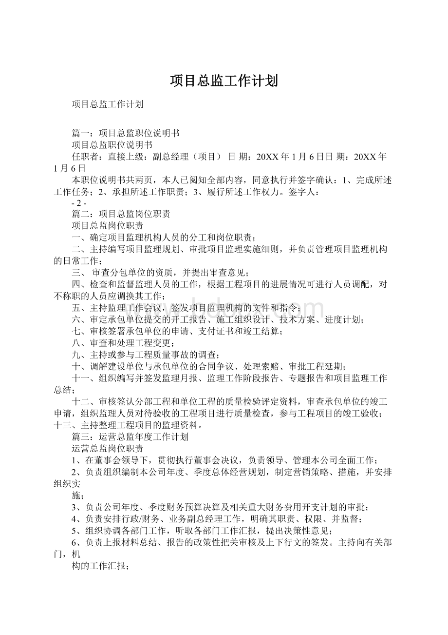 项目总监工作计划Word格式文档下载.docx