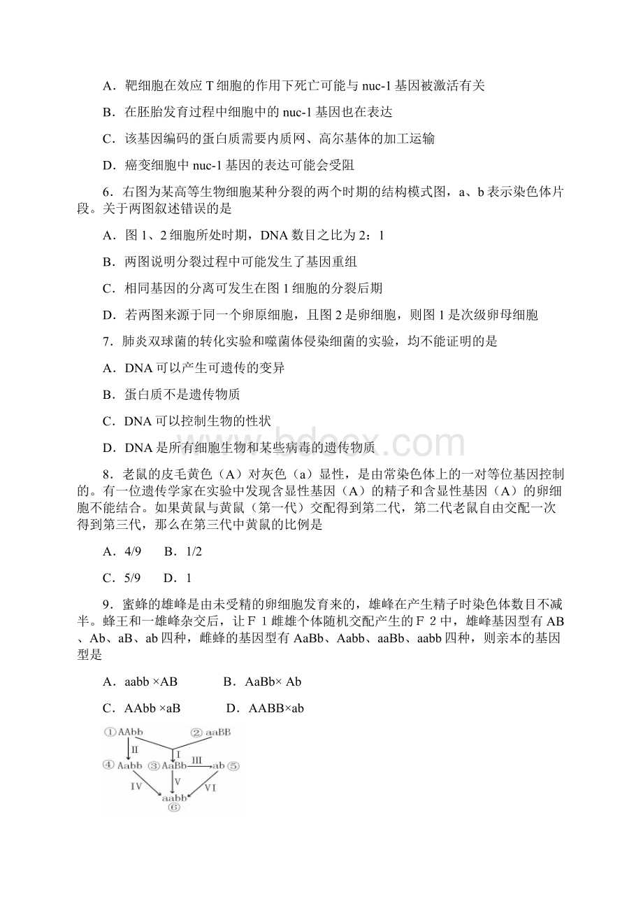 高三回归课本专项检测生物Word文档下载推荐.docx_第2页