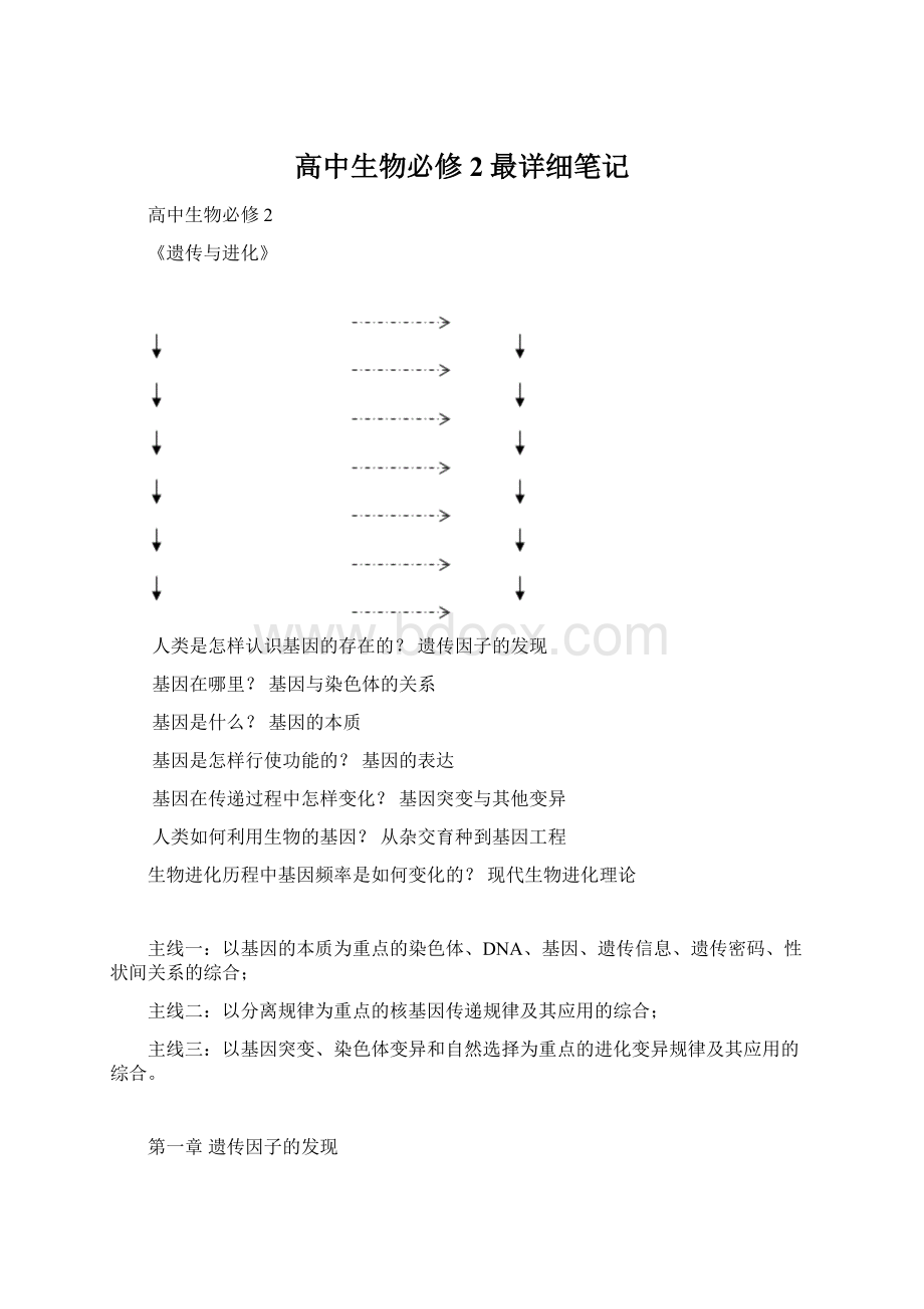 高中生物必修2最详细笔记Word文档下载推荐.docx