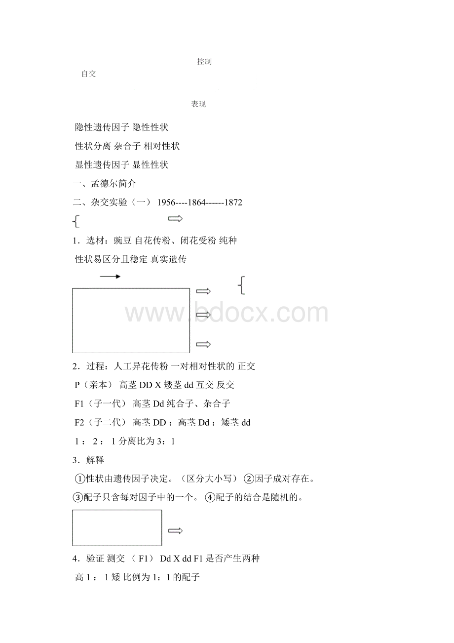 高中生物必修2最详细笔记.docx_第2页