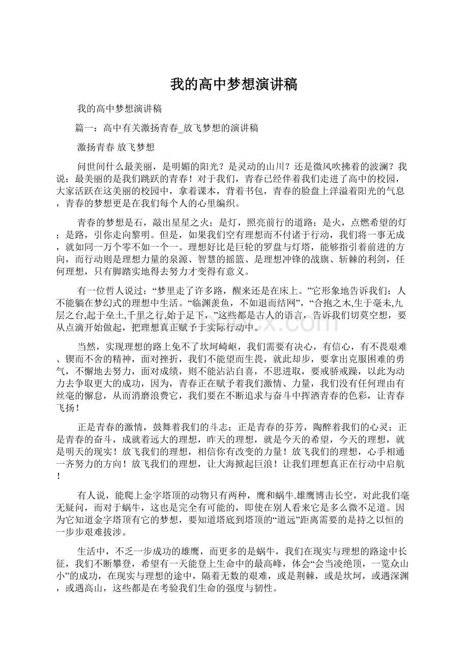 我的高中梦想演讲稿文档格式.docx_第1页