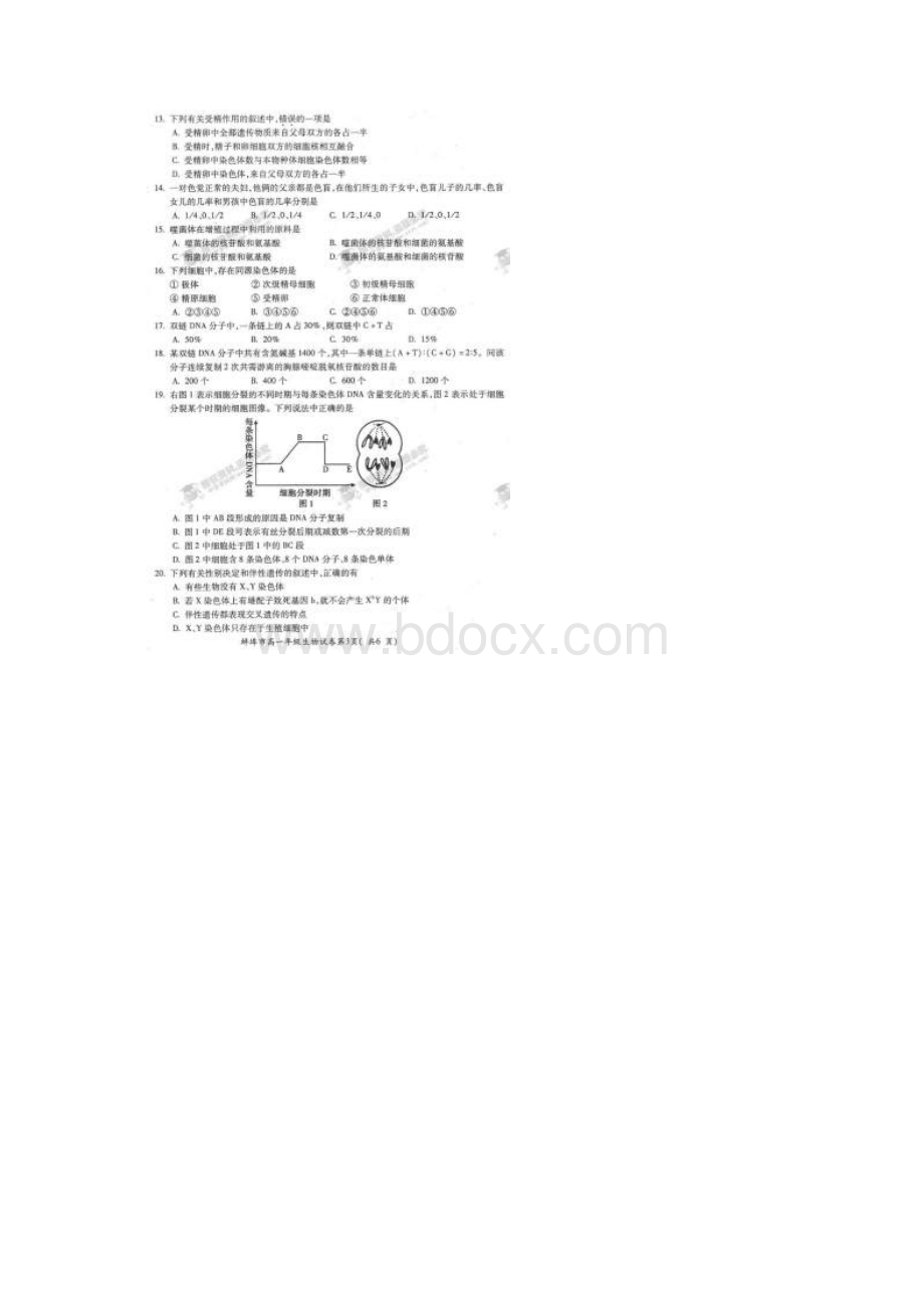 安徽省蚌埠市学年高一数学下学期期末考试试Word文件下载.docx_第3页