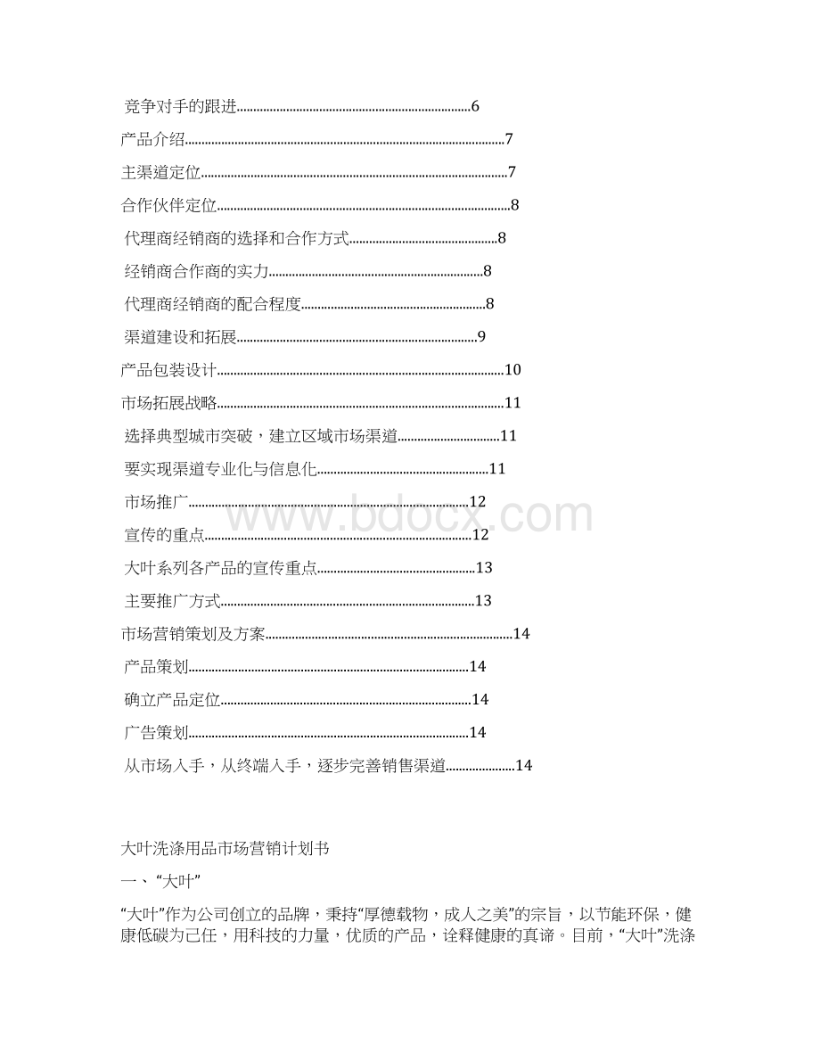 洗涤用品市场营销策划书Word格式.docx_第2页