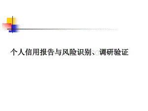 个人信用报告与风险识别、调查验证.ppt