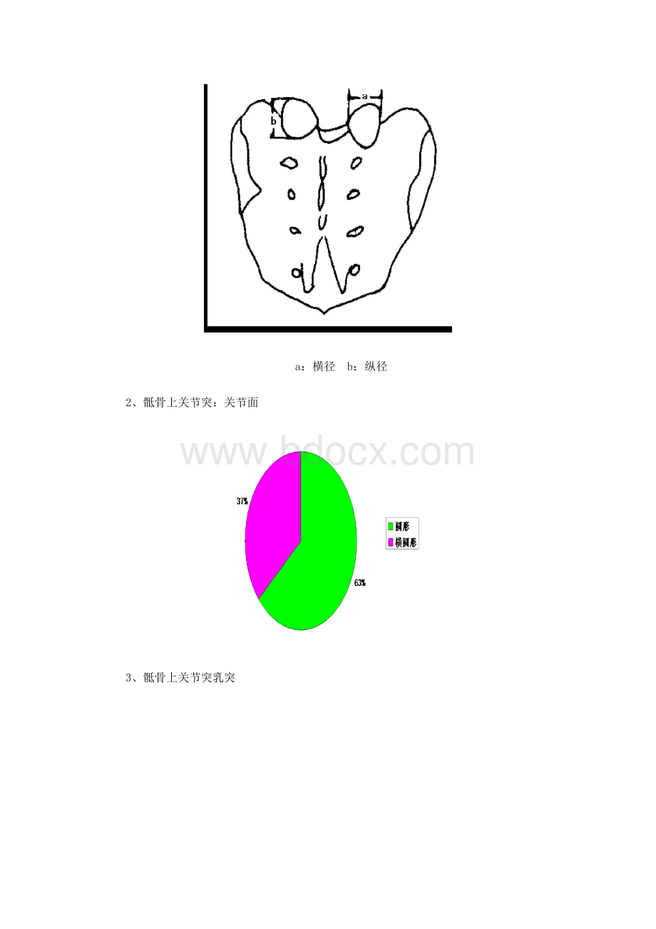 骶骨螺钉上关节突关节面5点7点进钉方法的解剖及临床应用_精品文档.doc_第3页