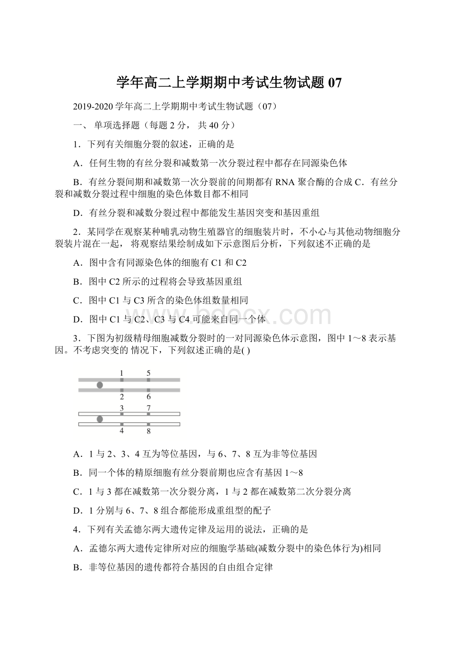 学年高二上学期期中考试生物试题07文档格式.docx