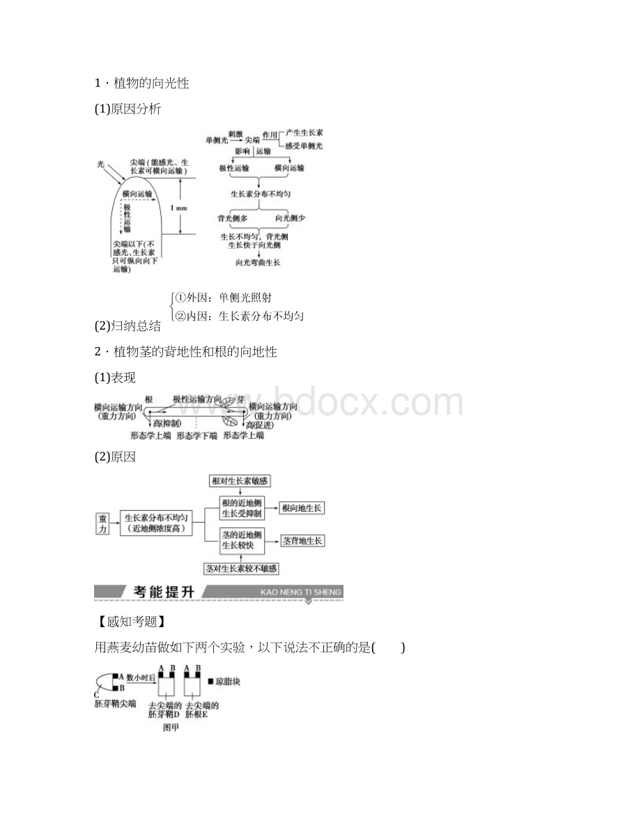 全国18版高考生物大一轮复习第八单元生命活动的调节第34讲植物的激素调节学案.docx_第3页