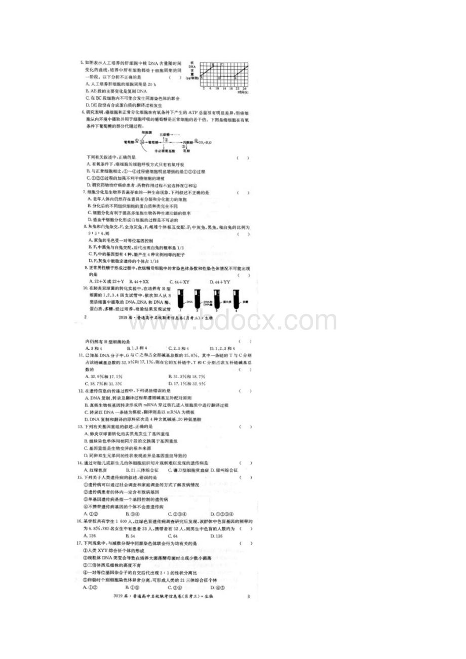 名校百强届普通高中名校联考信息卷月考三生物试题扫描版Word下载.docx_第2页