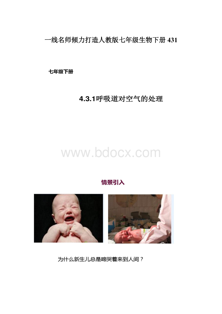 一线名师倾力打造人教版七年级生物下册431Word格式.docx_第1页