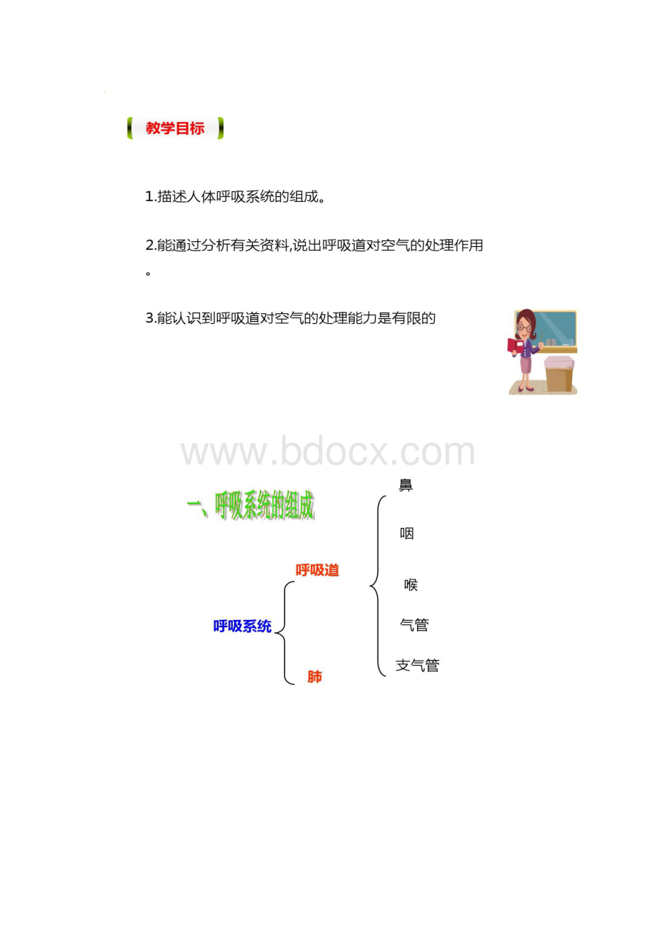 一线名师倾力打造人教版七年级生物下册431Word格式.docx_第2页