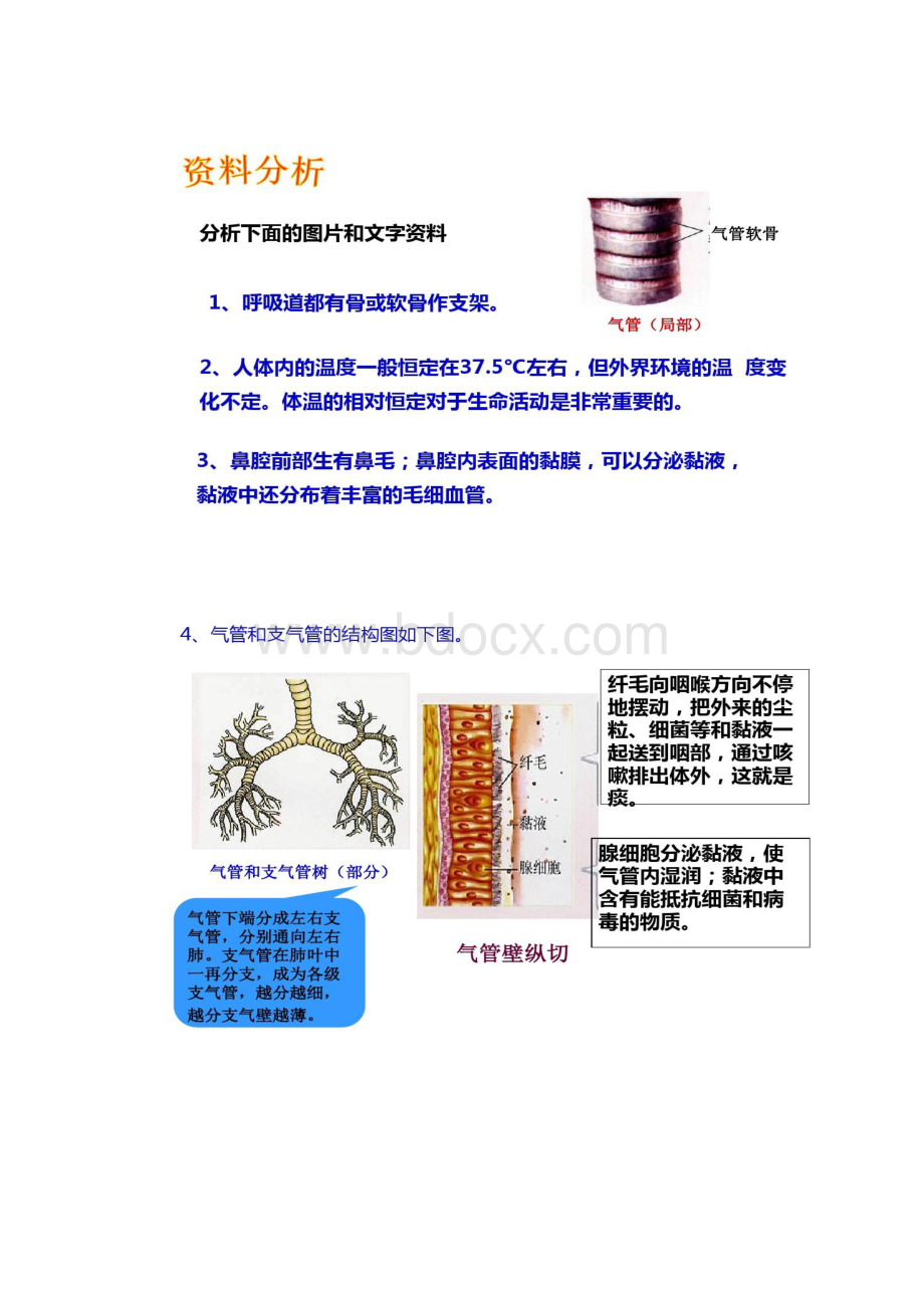 一线名师倾力打造人教版七年级生物下册431Word格式.docx_第3页