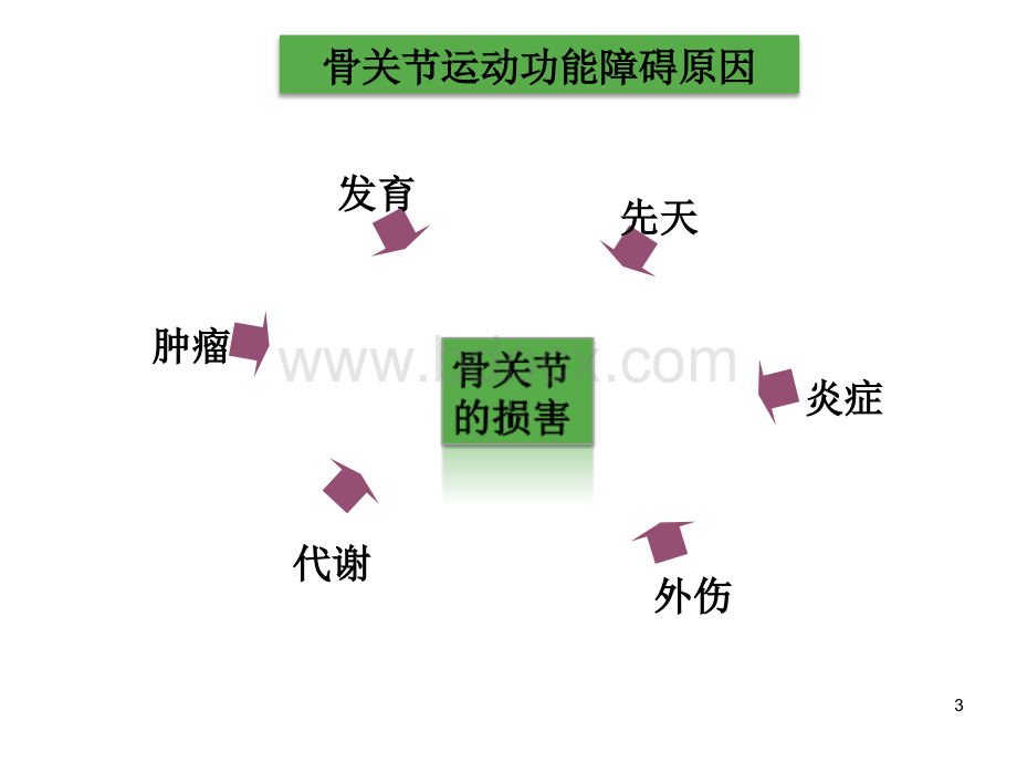 运动障碍学3_精品文档PPT资料.ppt_第3页