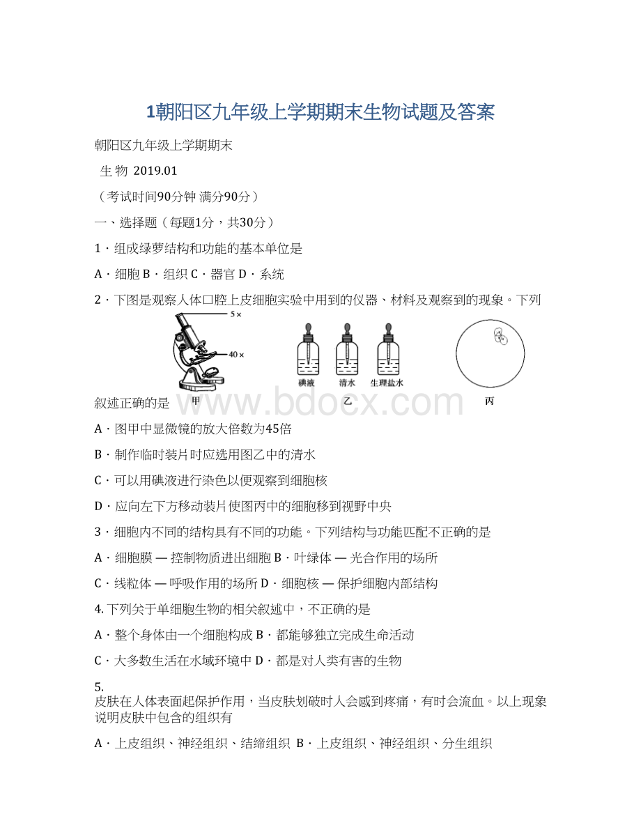 1朝阳区九年级上学期期末生物试题及答案Word文档格式.docx_第1页