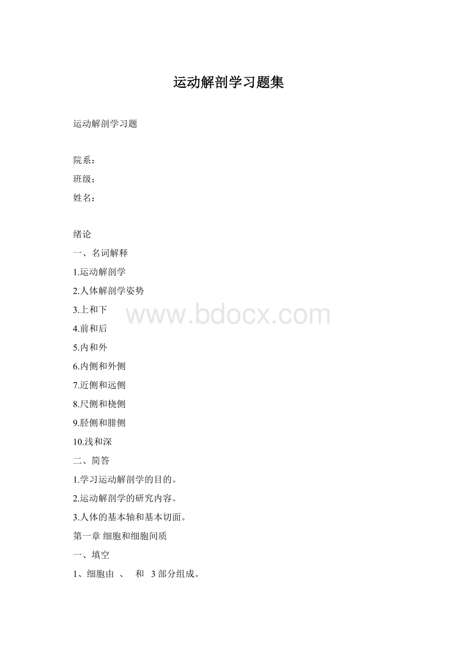 运动解剖学习题集Word文档格式.docx