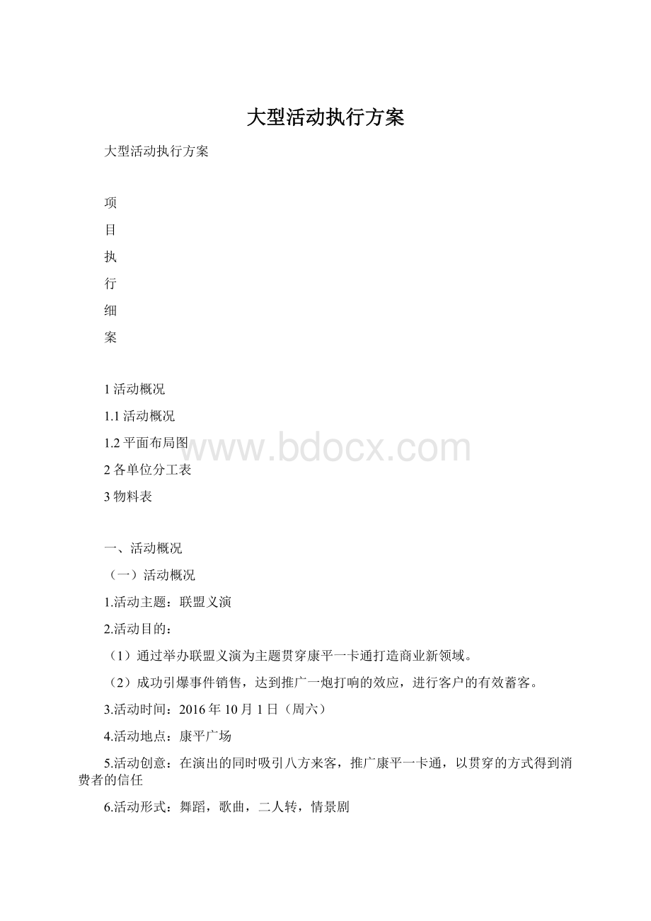 大型活动执行方案.docx_第1页