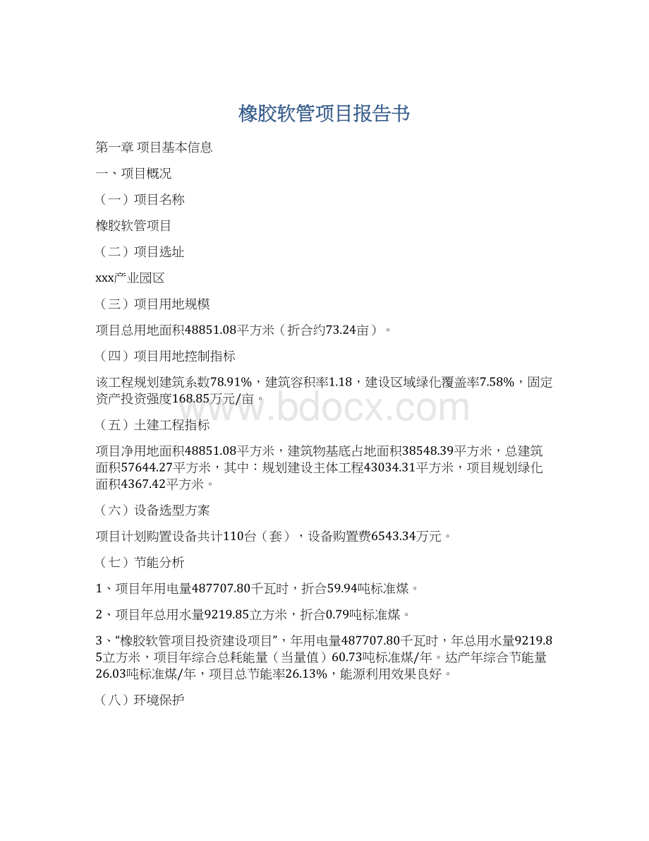 橡胶软管项目报告书Word格式.docx