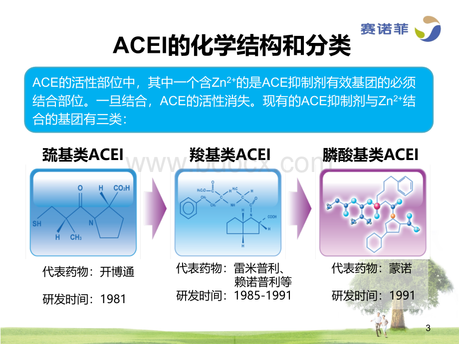 血管紧张素转换酶抑制剂ACEI的临床药学特征_精品文档PPT文件格式下载.ppt_第3页