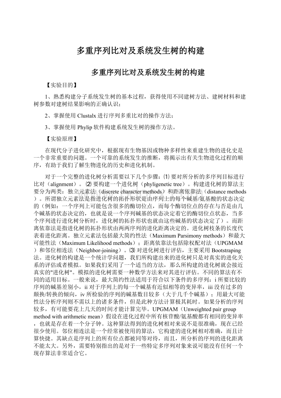 多重序列比对及系统发生树的构建Word文档下载推荐.docx_第1页