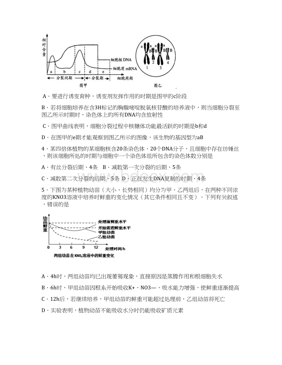 考前50天冲刺理综八.docx_第2页