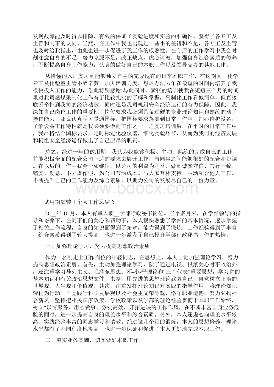 试用期满转正个人工作总结最新文档格式.docx_第2页