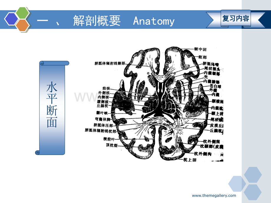 颅脑疾病超声诊断_精品文档PPT文档格式.ppt_第3页