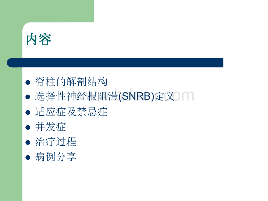 选择性神经根阻滞_精品文档PPT文件格式下载.ppt_第2页