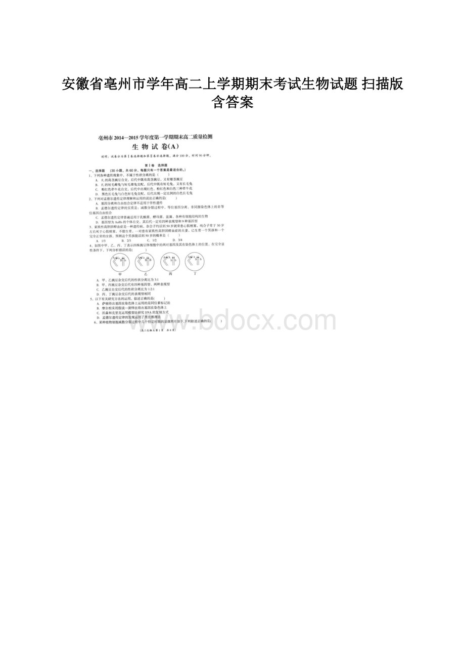 安徽省亳州市学年高二上学期期末考试生物试题 扫描版含答案.docx_第1页