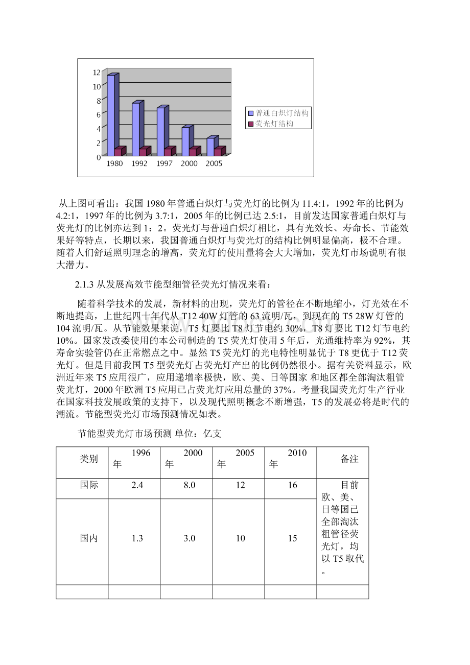 整编T5直管荧光灯生产项目建设可行性研究报告.docx_第3页