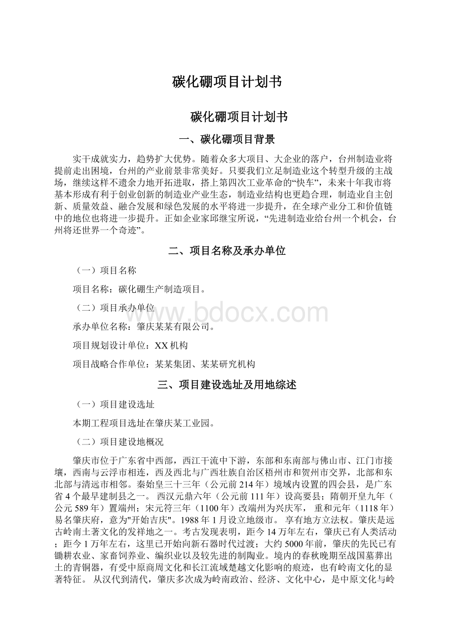 碳化硼项目计划书Word文档下载推荐.docx_第1页