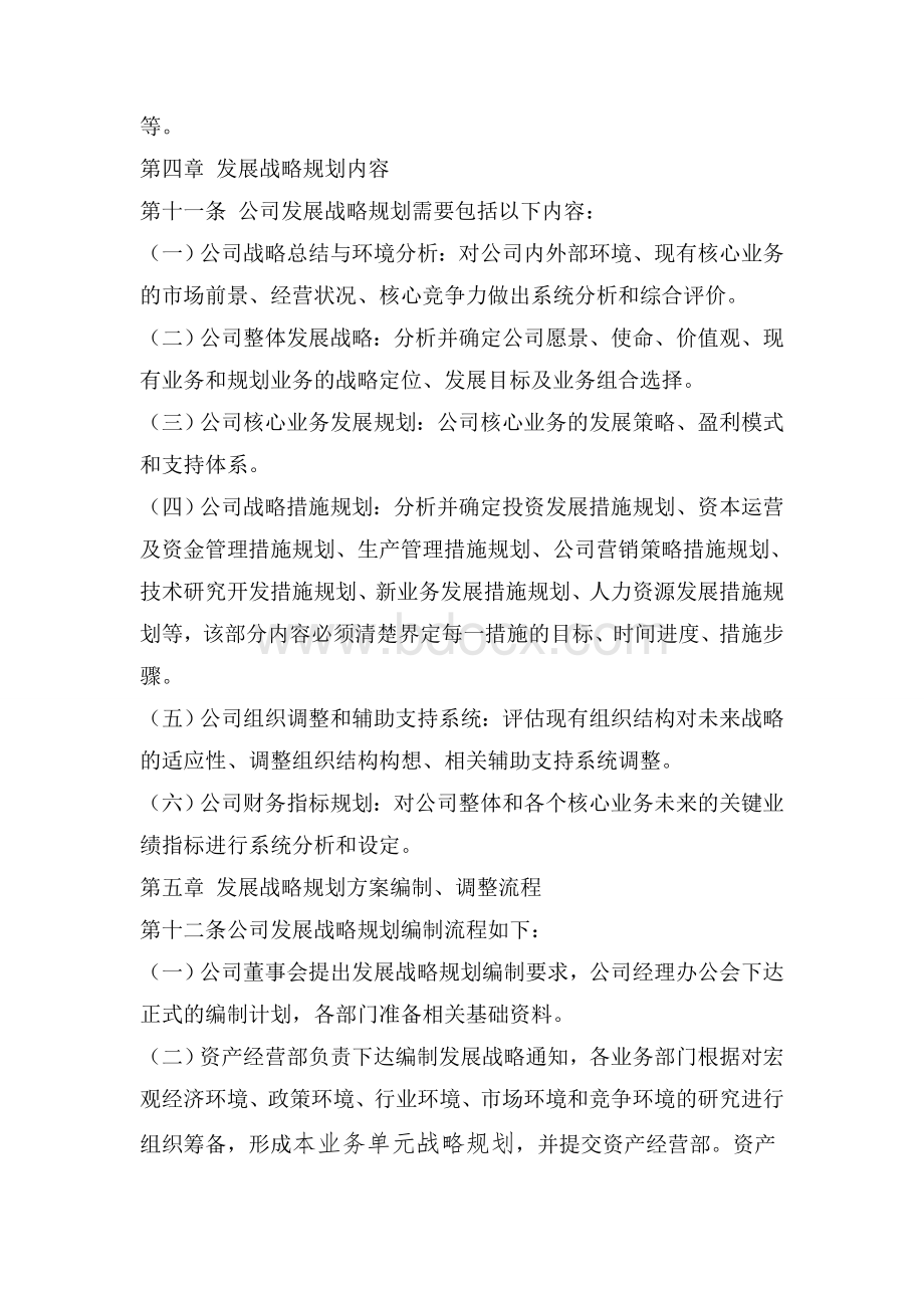 公司发展战略规划管理规定Word文档格式.doc_第3页