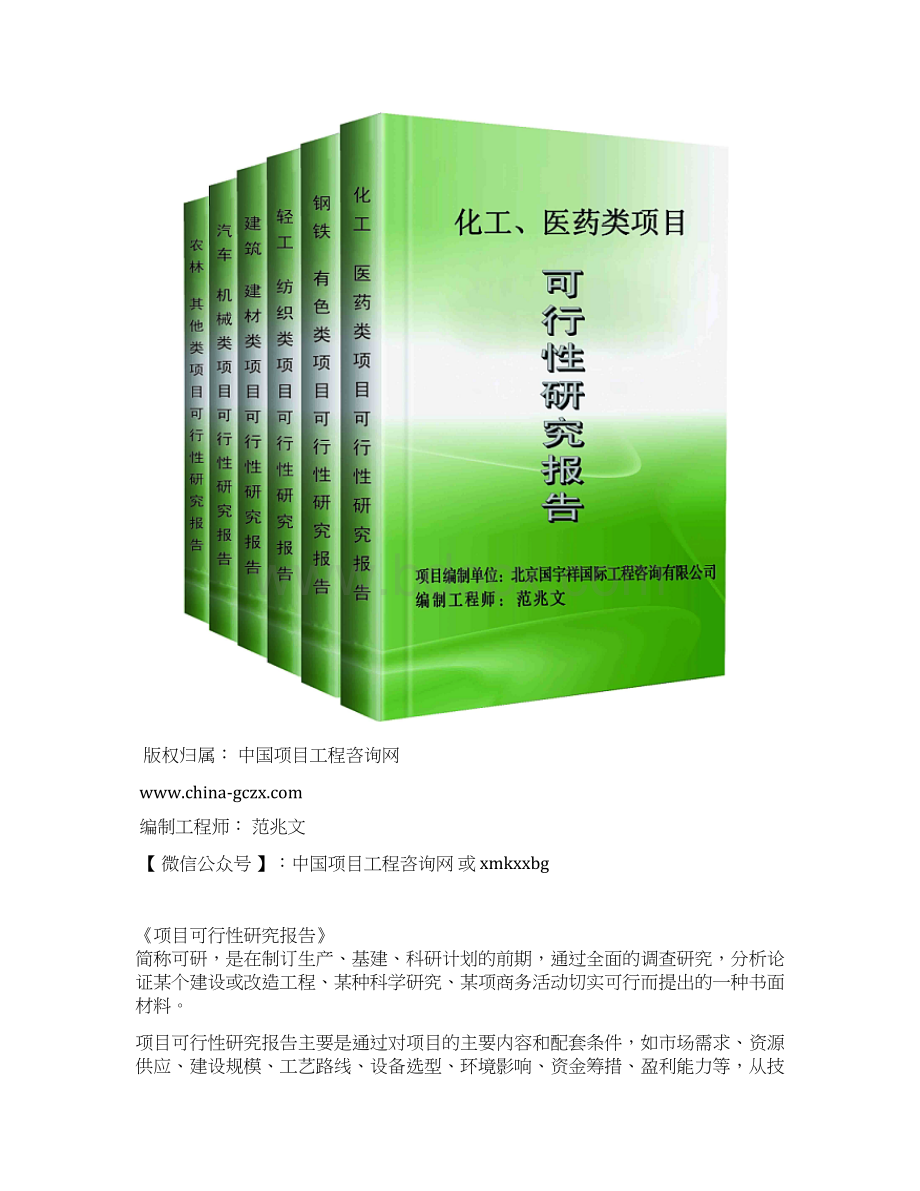 诊断试剂研发项目可行性研究报告立项模板Word格式文档下载.docx_第2页