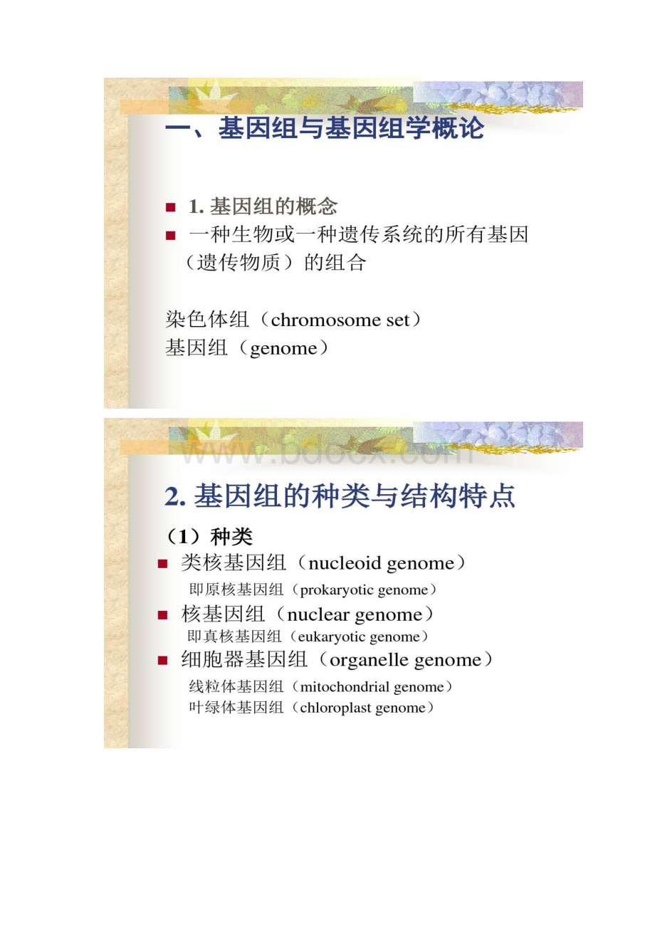 分子生物学本4基因组及基因组学概论精Word下载.docx_第2页