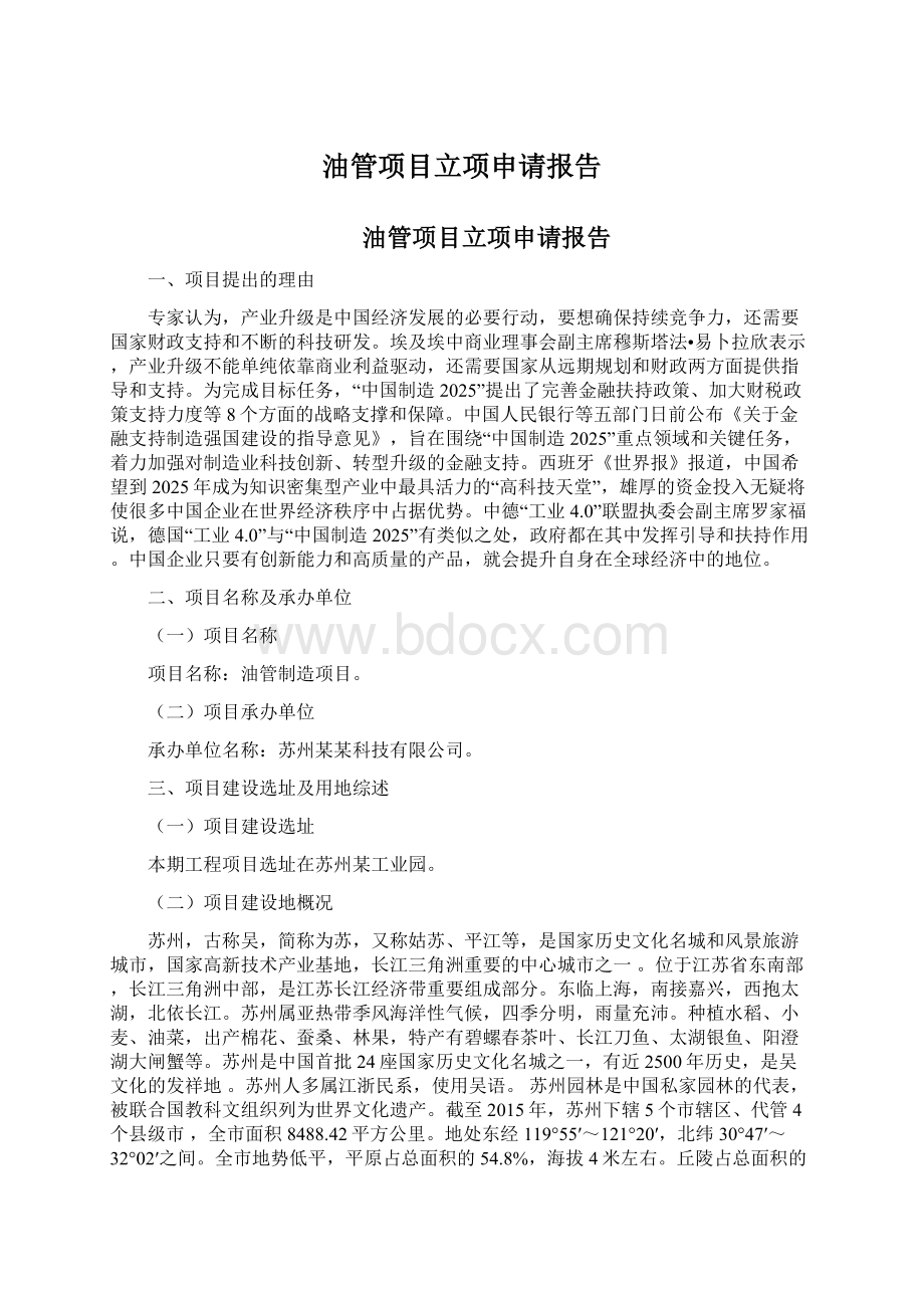 油管项目立项申请报告Word下载.docx