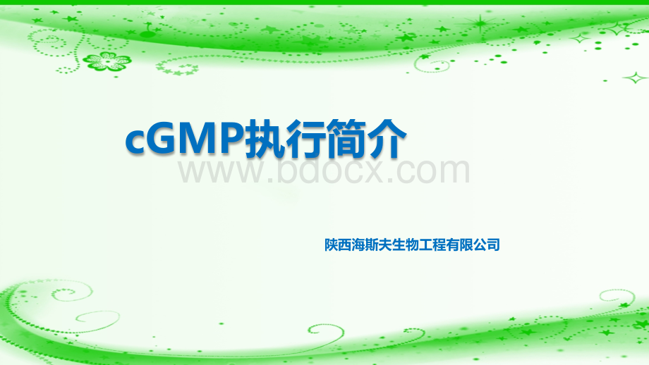 cGMP执行简介.ppt